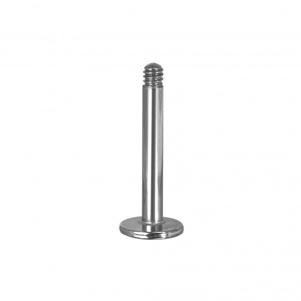 Labret aus Titan